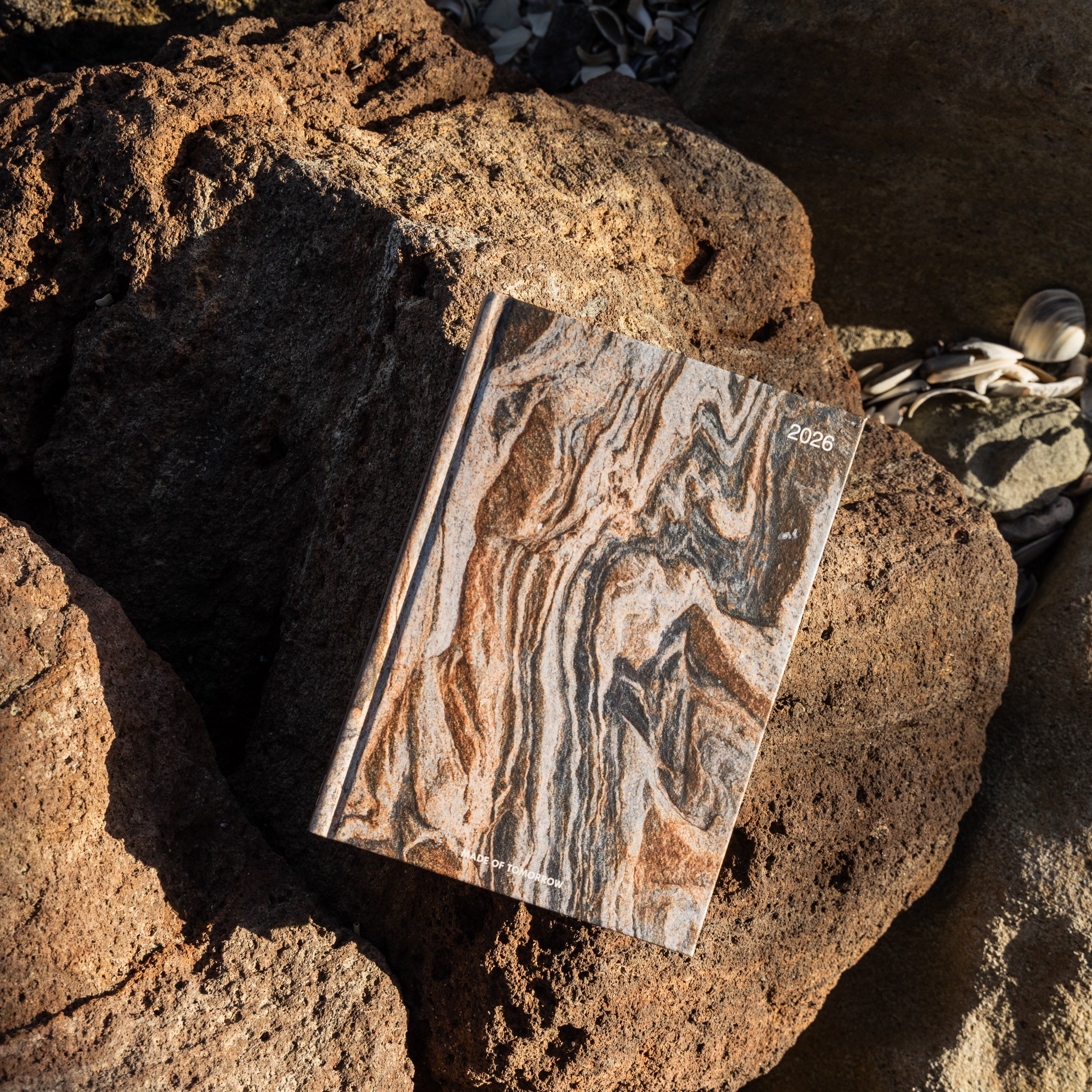 2026 A5 Daily Diary - Graphic