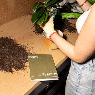 Plant Tracker
