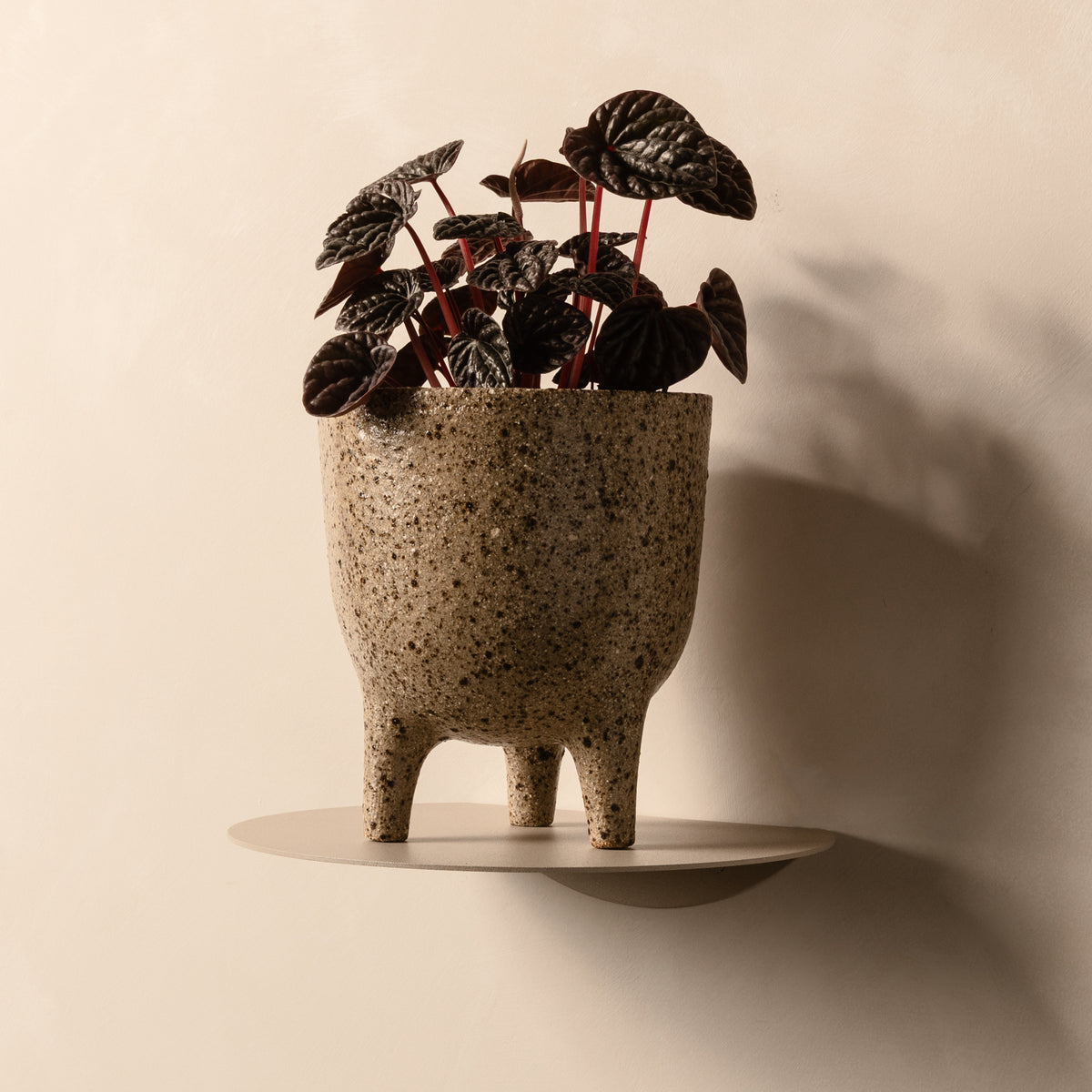 FOLD Round Shelf 250 — Limestone