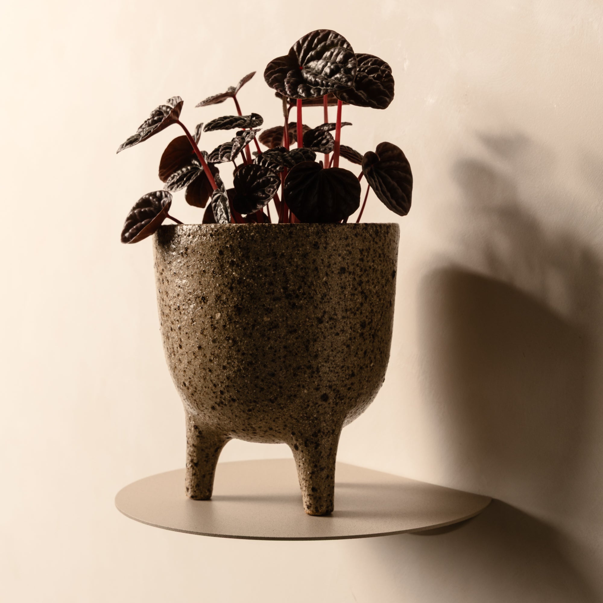 FOLD Round Shelf 250